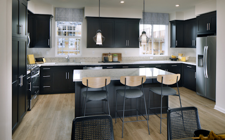 A kitchen with black cabinets.