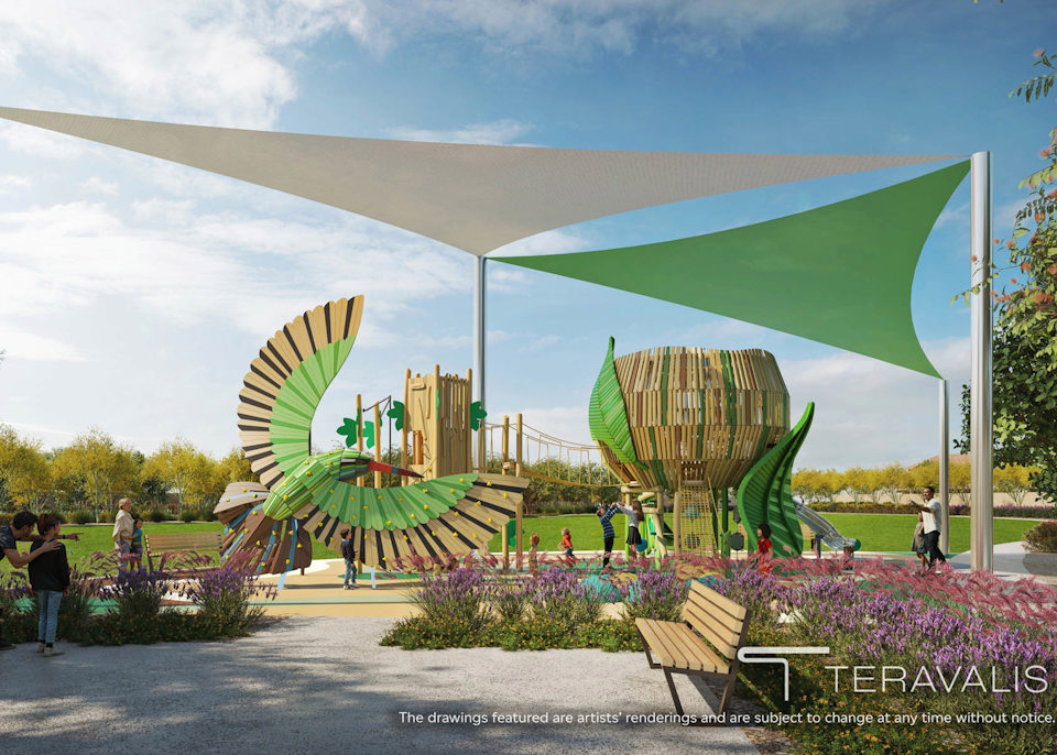 A large flower garden.