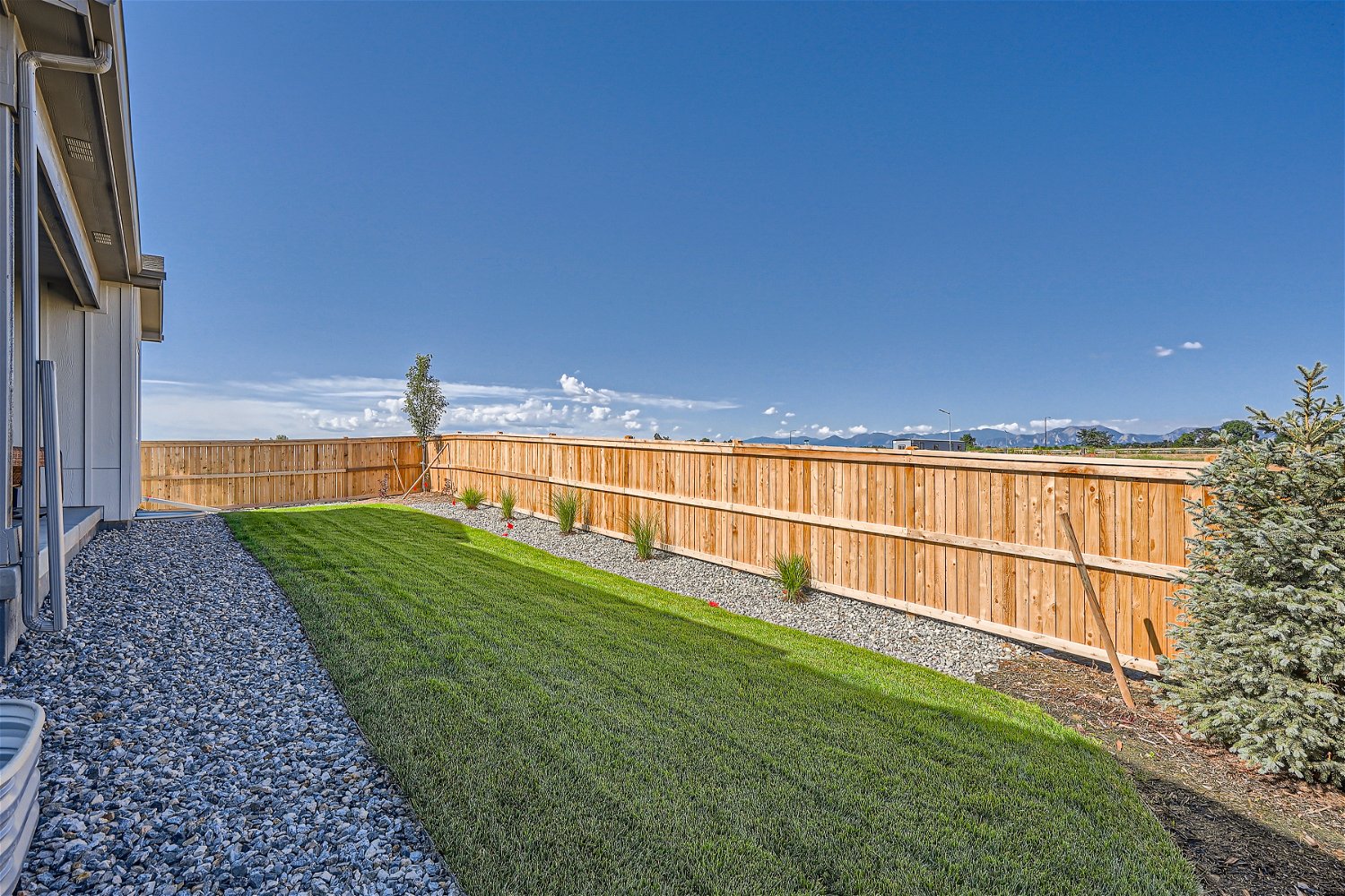 A fenced in yard with a tree and a building and blue sky.