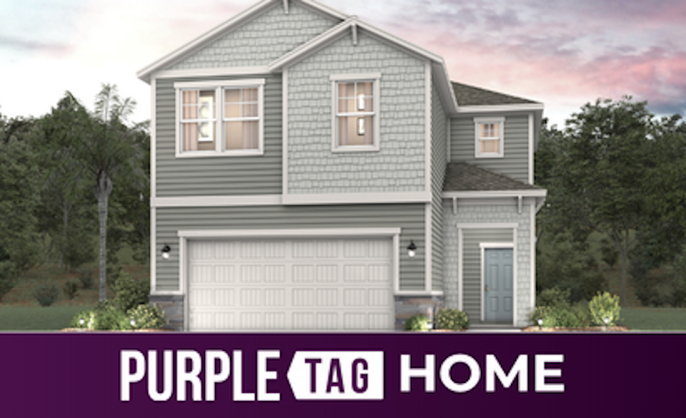 Purple Tag Home Lot 144 at Camden Woods