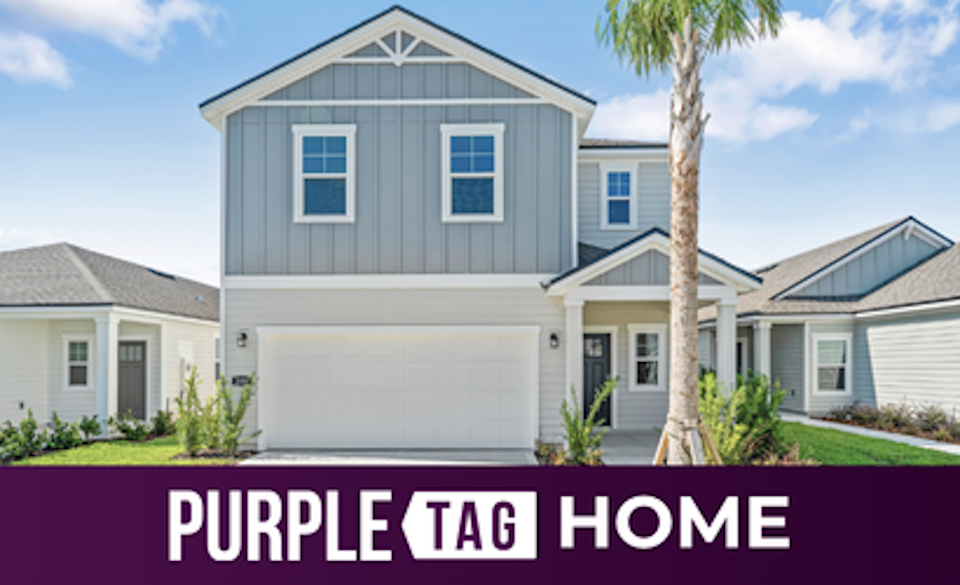 Purple Tag Home Lot 20 at Camden Woods
