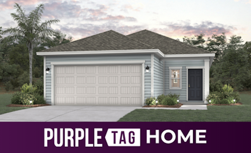 Purple Tag Home Lot 21 at Camden Woods