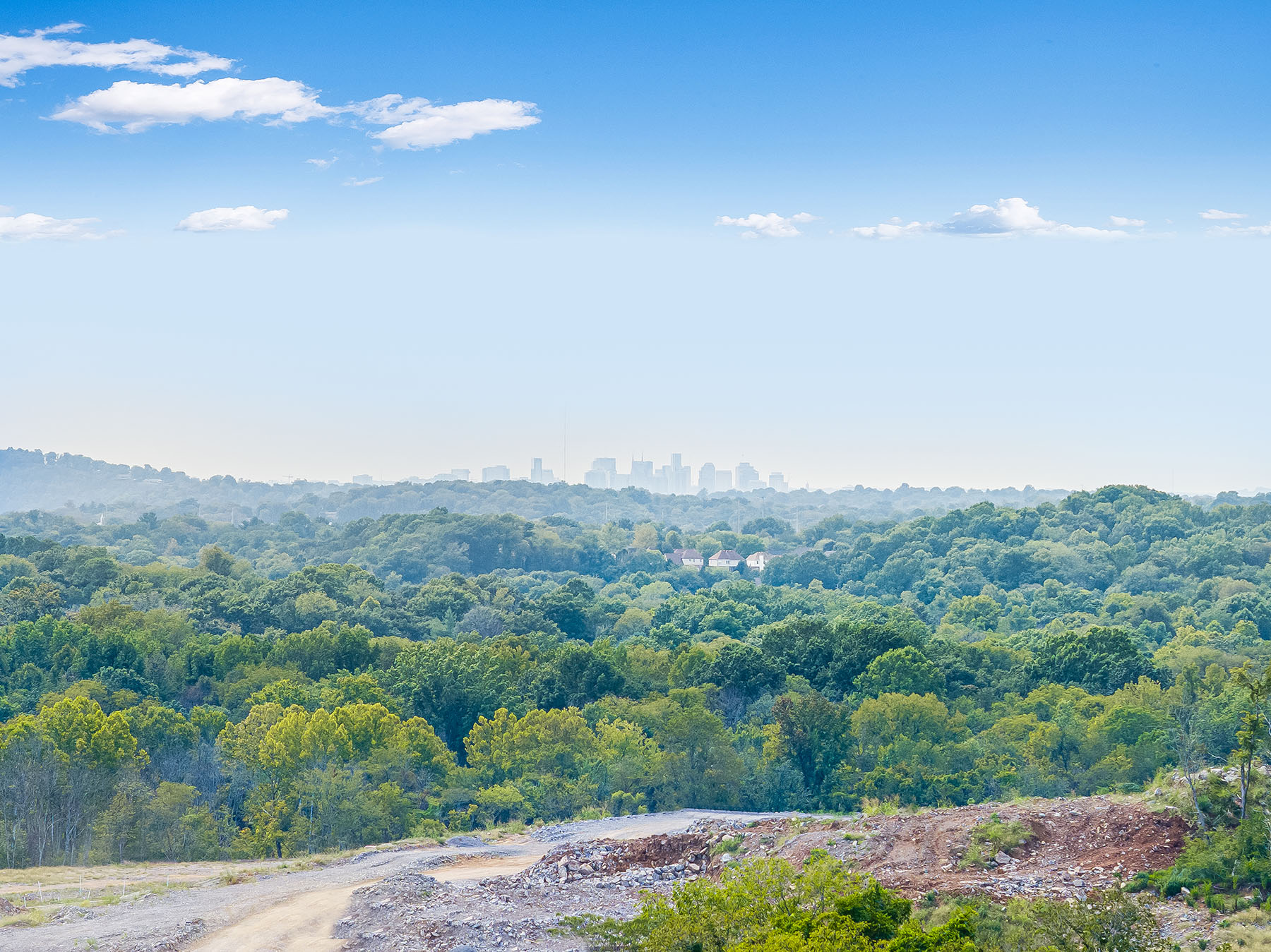 A landscape with trees and a city in the background.