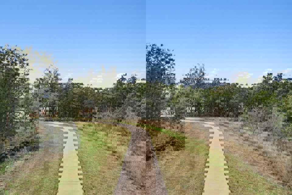 A dirt road surrounded by trees.