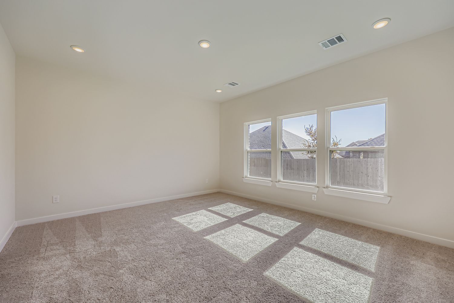 A room with a rug and windows.