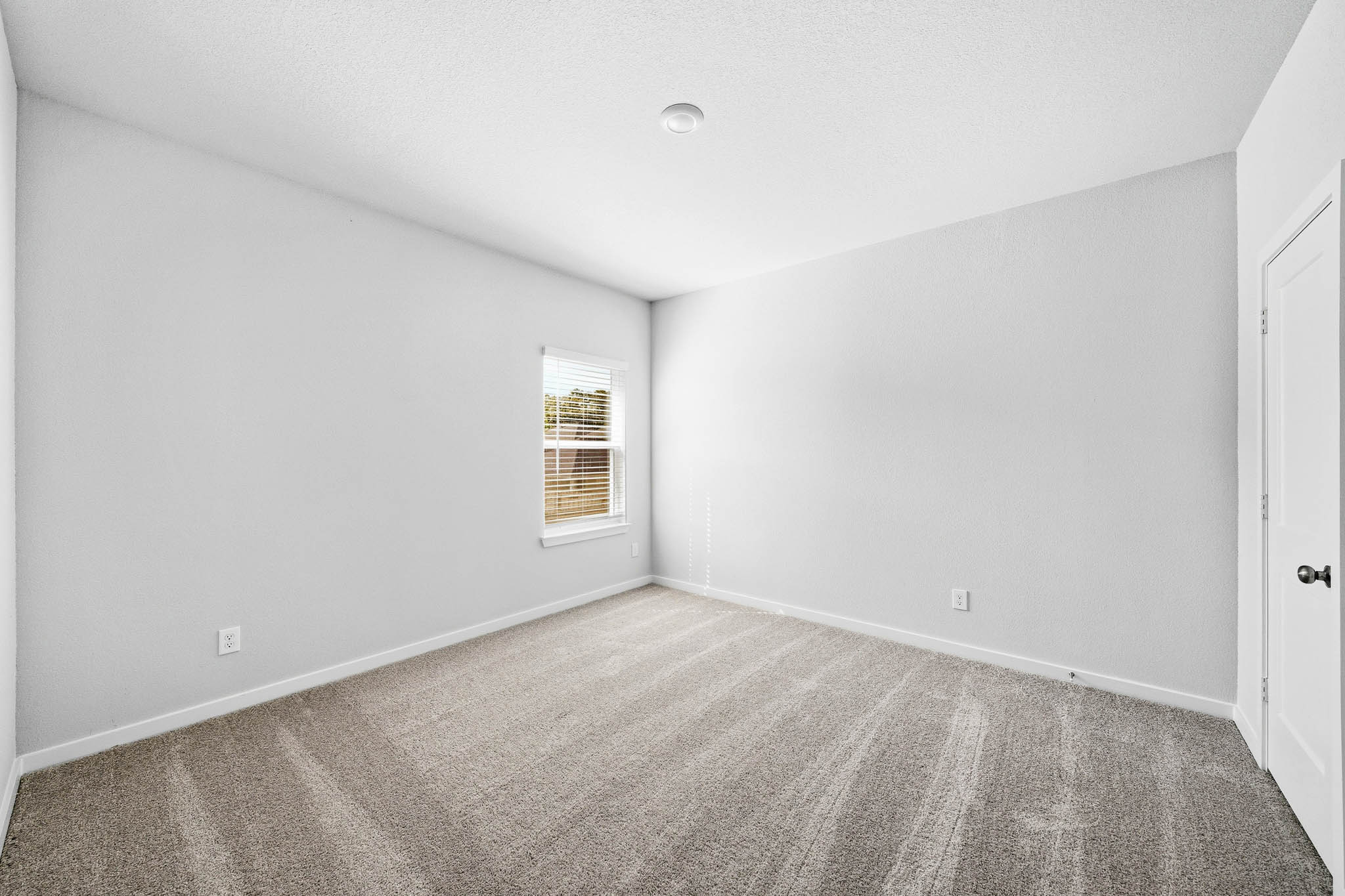 A room with a carpet and a window.
