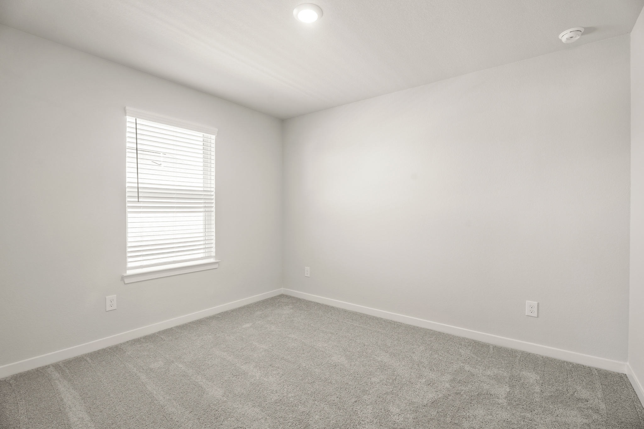 A room with a carpet and a window.