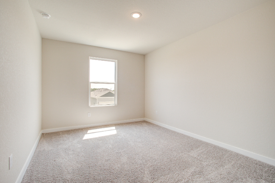 A room with a carpet and windows.