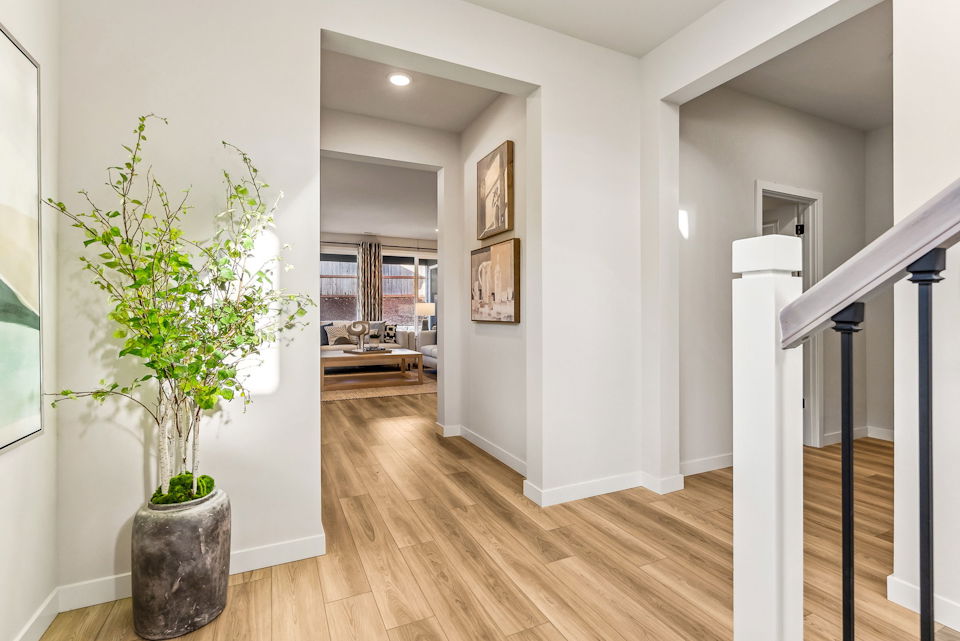 A room with a plant in it.