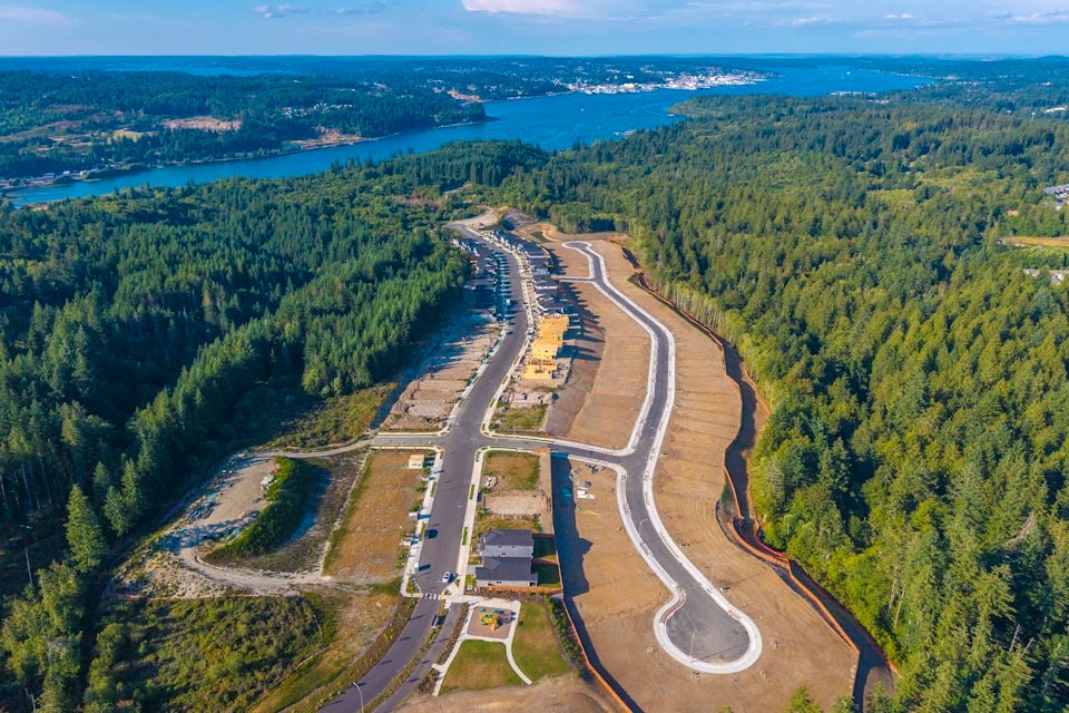 A river running through a forest.