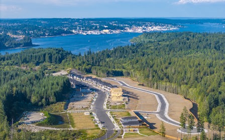 A river running through a forest.