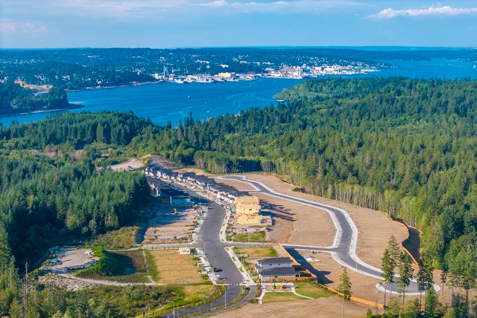 A river running through a forest.