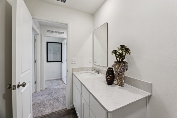 A bathroom with a sink and a mirror.
