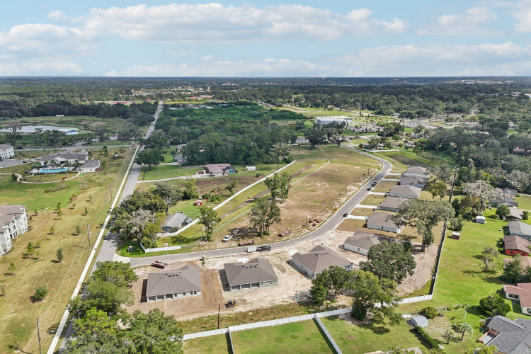 A landscape with houses and trees.